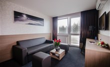 JEZERKA - Seč - Ústupky - čtyřlůžkový apartmán - obývací pokoj