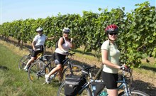 TOUR DE VINOHRAD MIKULČICE, Hotel PANON - Hodonín - ""