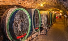 TOUR DE VINOHRAD MIKULČICE, Hotel PANON - Hodonín - Čejkovice sklepy - zdroj: Agentura m-ARK Olomouc