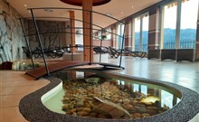 Lázeňský & wellness hotel NIVAMARE - Luhačovice - Pozlovice - Wellness