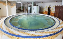 WELLNESS HOTEL PATINCE - Patince