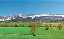 PAWILON EDWARD - Jelenia Góra