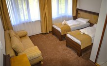 ŠIKLAND - Zvole nad Pernštejnem - hotelový pokoj