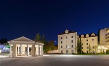 GRAND HOTEL SAVA****sup. - Rogaška Slatina - hotel ZAGREB - pramen DONAT (Mg+)