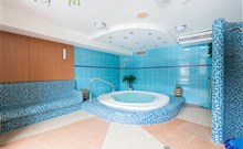 PETROVY KAMENY - pod Pradědem - wellness