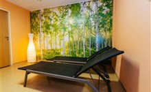 K-TRIUMF RESORT - Velichovky - Wellness centrum