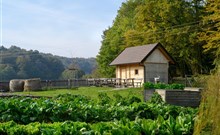 ŠPORT ****  Otočec - Terme Krka