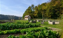 ŠPORT ****  Otočec - Terme Krka