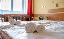 RELAX - Rožnov pod Radhoštěm - pokoj Standard