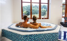 PYTLOUN WELLNESS HOTEL HASIŠTEJN - Místo - Whirlpool