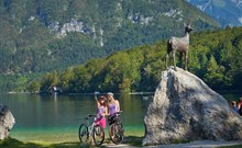 JEZERO - Bohinjsko Jezero - Bohinjsko jezero