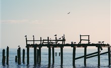 ARCHE Fabryka Samolotów - Mielno