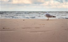 ARCHE Fabryka Samolotów - Mielno