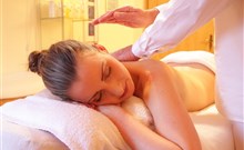 WELLNESS RESORT ENERGETIC - Rožnov pod Radhoštěm