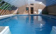 ZVÍKOV hotel - Zvíkovské Podhradí - bazén