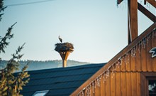 DOVOLENÁ S PŘÍCHUTÍ WHISKY - NESTVILLE APARTMENTS - Hniezdne