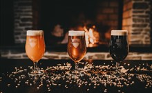 DOVOLENÁ S PŘÍCHUTÍ WHISKY - NESTVILLE APARTMENTS - Hniezdne