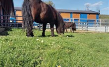 DOVOLENÁ S PŘÍCHUTÍ WHISKY - NESTVILLE APARTMENTS - Hniezdne