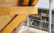 DOVOLENÁ S PŘÍCHUTÍ WHISKY - NESTVILLE APARTMENTS - Hniezdne