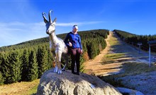 Hotel PARK a Penzion PARMA - Ostružná - Černava, pod Šerákem