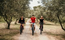 BELVEDERE HOTELS & RESORT -  Izola