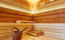 PETROVY KAMENY - pod Pradědem - wellness