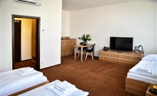 NA KOLE VINOHRADY UHERSKOHRADIŠŤSKA, hotel FABRIKA