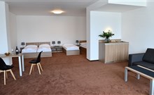 NA KOLE VINOHRADY UHERSKOHRADIŠŤSKA, hotel FABRIKA