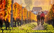 NA KOLE VINOHRADY UHERSKOHRADIŠŤSKA, hotel FABRIKA