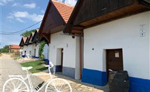 NA KOLE VINOHRADY UHERSKOHRADIŠŤSKA, hotel FABRIKA