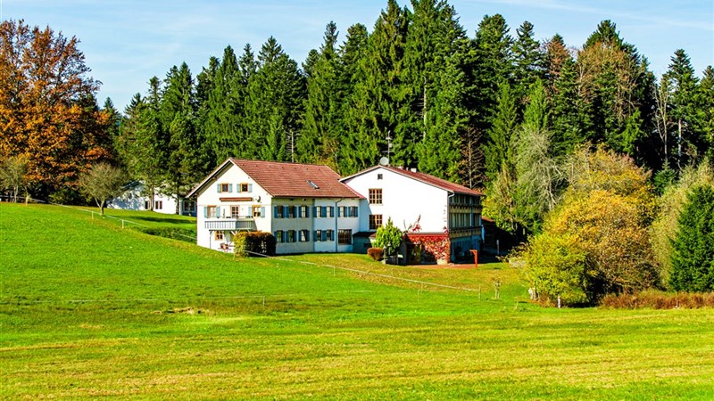 BERGER´S BERGSICHT BY EDITE - Scheidegg