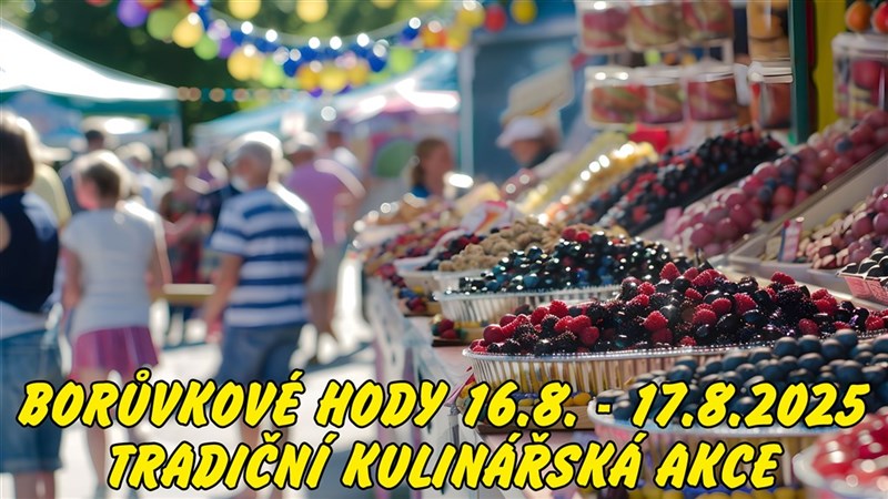 BORŮVKOVÝ POBYT - Penzion Schaumannův Dvůr - Karlovice