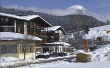 HARFENWIRT - Wildschönau/Niederau
