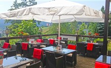 PANORAMA HOTEL OBERWIESENTHAL