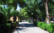 VERDE CUPRA - Cupra Marittima