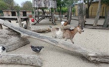 THERMALPARK - Dunajská Streda - ZOO Malkia Park