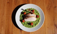 ANTON FLORIAN - Valtice - gastronomie