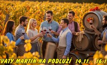 SVATÝ MARTIN NA PODLUŽÍ, PANON - Hodonín