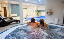 PYTLOUN WELLNESS HOTEL HASIŠTEJN - Místo