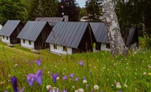 AURUM - Karlov pod Pradědem - apartmánové domky
