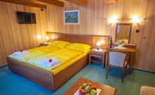 AURUM - Karlov pod Pradědem - pokoj LUX A1 v penzionu