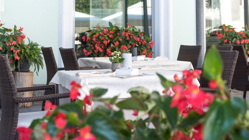 PROTEUS*** - Postojna Cave Rooms & Apartments