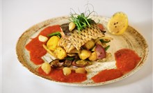 ZLATÁ HVĚZDA - Třeboň