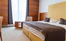 AQUACITY POPRAD - Poprad - Pokoj Mountain View - Standard