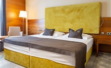 AQUACITY POPRAD - Poprad - Pokoj Mountain View - Standard