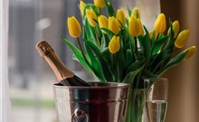 GALICJA - Wieliczka- Kraków