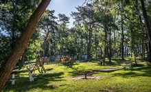 AUTOBUSEM DO POLSKA - KRYNICA MORSKA