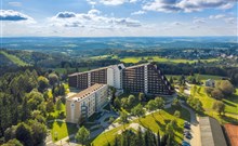 IFA SCHÖNECK - Schöneck