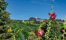 IFA SCHÖNECK - Schöneck