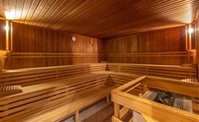 IFA SCHÖNECK - Schöneck